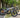 7 Reasons Why Buying a Fat Tire Ebikes