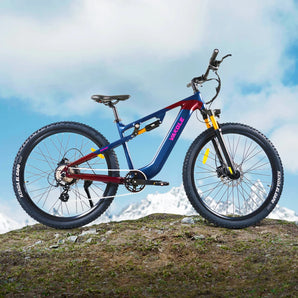 EMT29 E-MTB di Livello Base