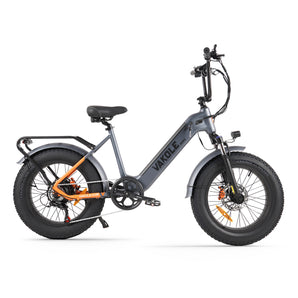 SG20 Fat Bike Cargo Électrique