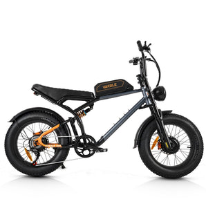 Q20 MAX Fat Bike Électrique Rétro avec Bimoteur